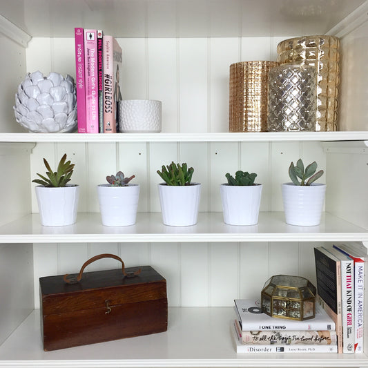 Real Talk: 7 Tips to Keep Your Home Clean and Visitor Ready